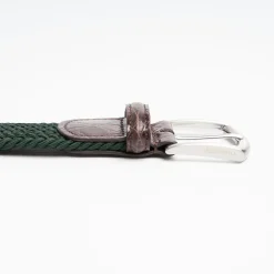 Dark Green Woven Stretch Bel With Alligator Trims