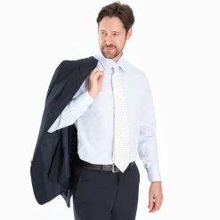 Regular Light Blue Cotton Classic Shirt