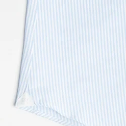 Slim White And Light Blue Striped Cotton Classic Shirt